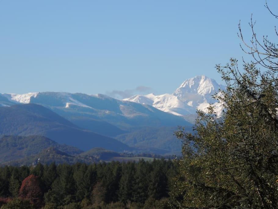 Cabane dans les bois avec vue sur les Pyrénées Saint-Laurent-de-Neste Esterno foto