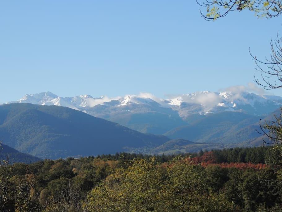 Cabane dans les bois avec vue sur les Pyrénées Saint-Laurent-de-Neste Esterno foto